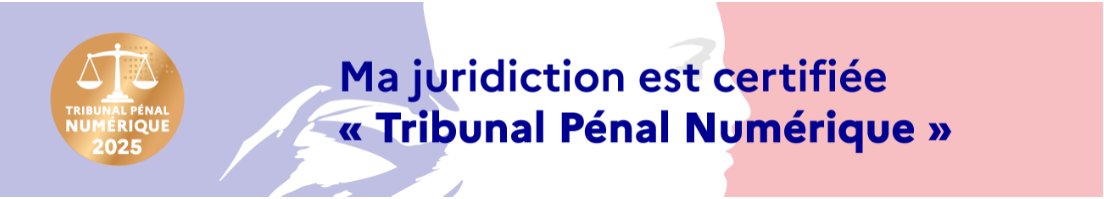Tribunal Pénal Numérique 2025